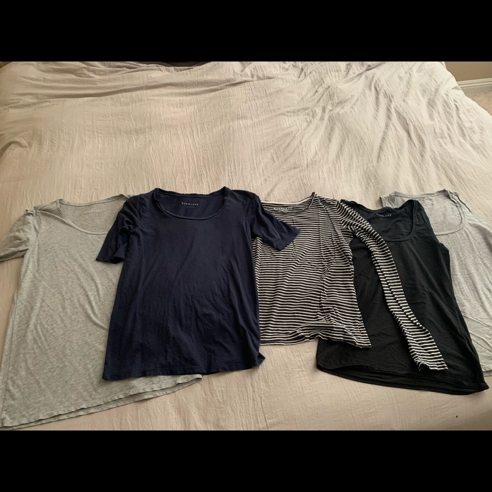 Lot of Everlane Pima cotton tops